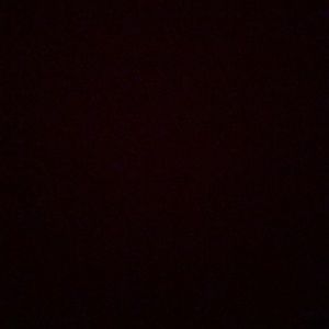 Meet your Posher, Tommy